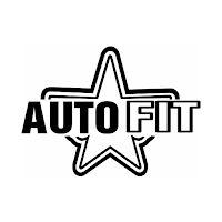 Automatic Fitness