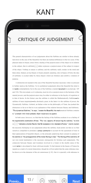 CRITIQUE OF JUDGEMENT Screenshot 3