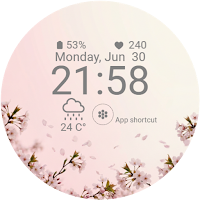 Cherry Blossom Time