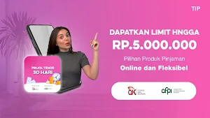 Pinjol Tenor 30 Hari Tip Screenshot 2
