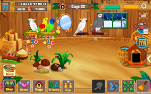 Bird Land Paradise: Pet Shop Game, Play with Bird Screenshot 2