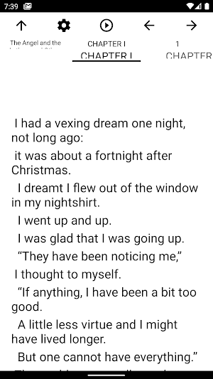 Book, The Angel and the Author Screenshot 1