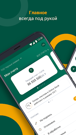 Onlinebank для бизнеса Screenshot 0