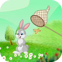 Catch The Rabbit