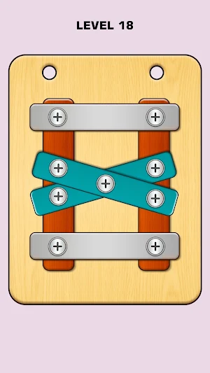 Nuts & Bolts Screw Puzzle Game Screenshot 3