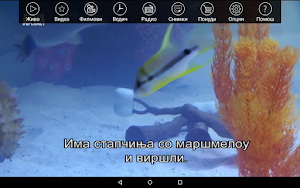 ReplayTV Screenshot 3