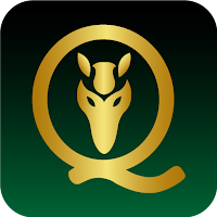 Grupo Empresarial Quirquincho