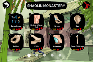 Anatomy Ninja Lower Limb Screenshot 1