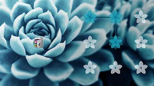 AppLock Theme Succulent – Paid Theme Screenshot 3