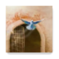 علمتني غربتي