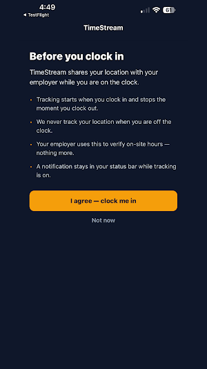 TimeStream Pro Screenshot 1
