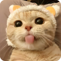 Cat Stickers | WAStickerApps