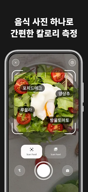 칼로리 AI - 식단, 체중 기록, 다이어트 코치 Screenshot 2