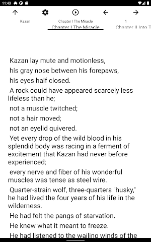 Book, Kazan Screenshot 3