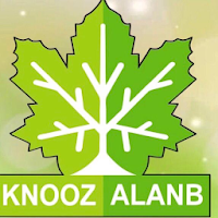 متجر كنوز العنب