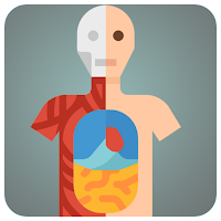 Gamifying Anatomy
