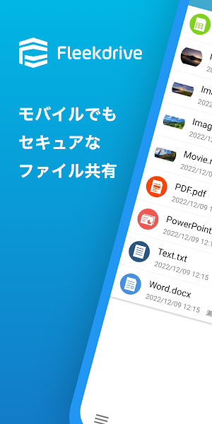 Fleekdrive Screenshot 0