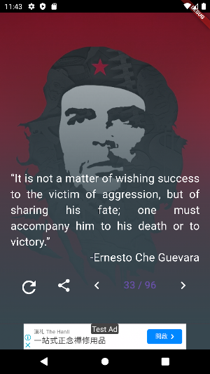 Ernesto Che Guevara Quotes Screenshot 3