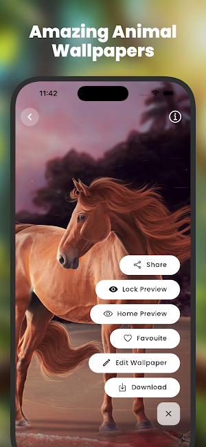 Animal Wallpapers HD | 4K Screenshot 3