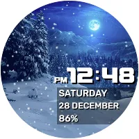 Winter Night
