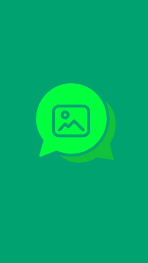 WA Gallery - Status Saver App Screenshot 0
