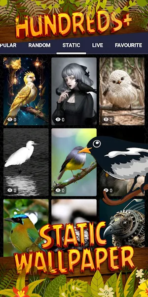 bird wallpaper Screenshot 3
