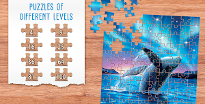Fun puzzles for adults offline Screenshot 2
