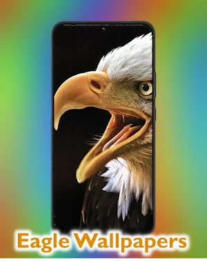 Eagle Wallpaper HD Aesthetic Screenshot 0