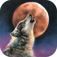 Wolf Wallpaper