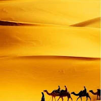 Travel Bookings