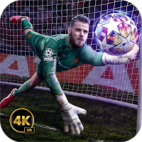 GoalKeeper Wallpaper HD / 4K