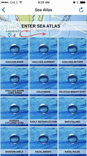 Operational Oceanography & Spe Screenshot 2