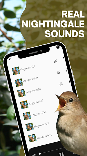 Nightingale sounds screenshot 2