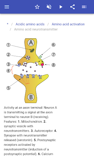 Amino acids Screenshot 2