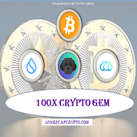 100X CRYPTO GEM