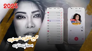 جميع اغاني شيرين بدون نت 2025 Screenshot 0