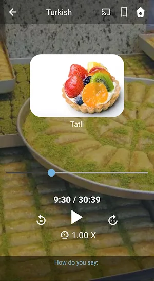 Learn Turkish. Speak Turkish. Study Turkish. Screenshot 1
