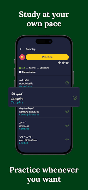 Learn Urdu  - Beginners Screenshot 2