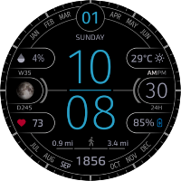 SKA 37 Basic minimal