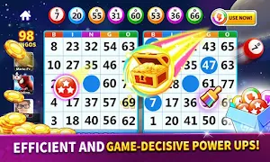 Bingo: Lucky Bingo Games Free to Play at Home Screenshot 3