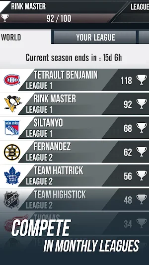 NHL Figures League Screenshot 2
