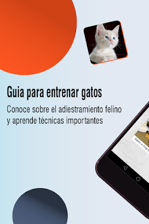 Guia para entrenar gatos, adiestramiento felino Screenshot 0