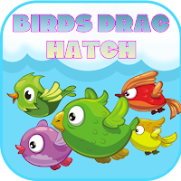 Birds Drag Hatch