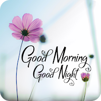 Good Morning Good Night GIF