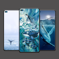 Whale Wallpaper HD