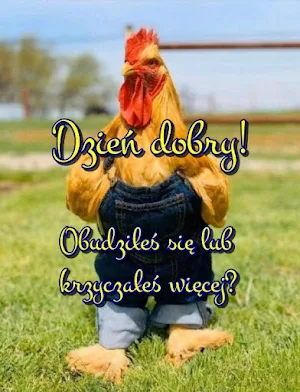 Dzień dobry! Screenshot 1