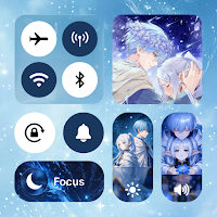 Control Widgets: Themes Panel