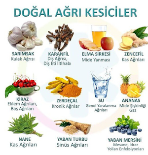 Pratik ve Yararlı Bilgiler Screenshot 2