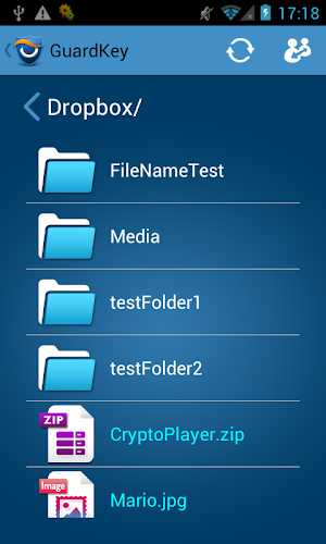 GuardKey Viewer Screenshot 2
