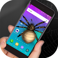 Spider in phone prank